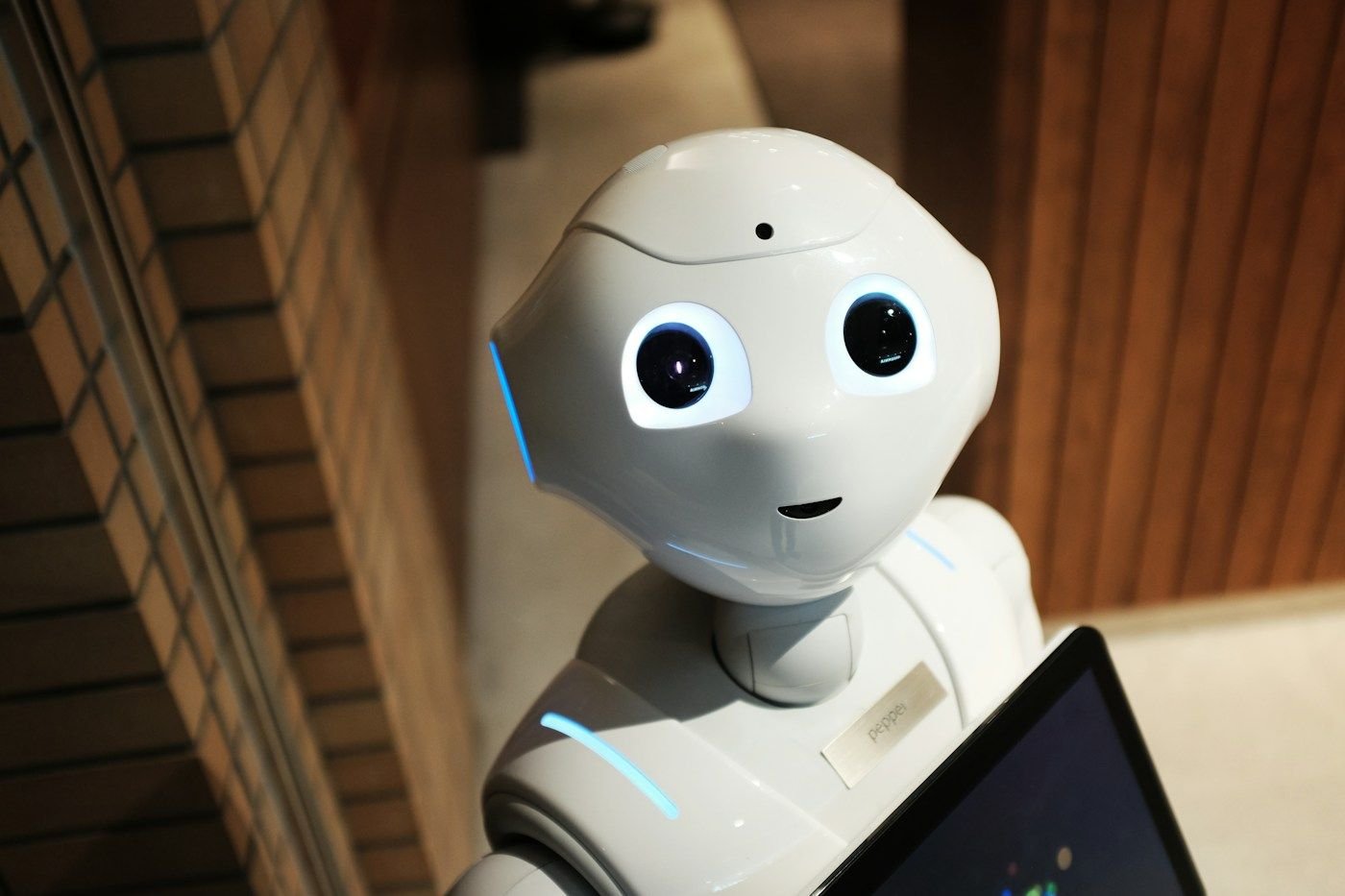 Humanoid robot in an exhibit